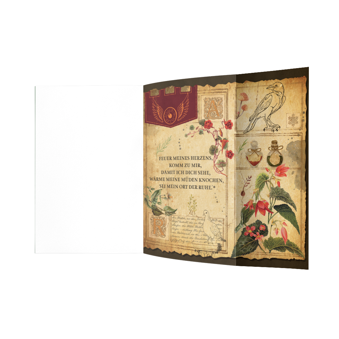 The Witch Collector SONDERAUSGABE