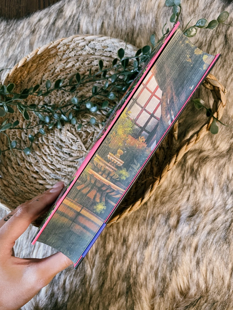 Die Tochter des Doktor Moreau SONDERAUSGABE